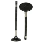 EV1169 Dnj Exhaust Valve For Vw Dodge Charger Grand Caravan Challenger 300 Ram New. Price: $26.15.