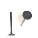 Dnj EV122 Engine Exhaust Valve For 96-11 Hyundai Kia Accent RIO5 New. Price: $17.42.