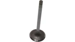 Gm Valve,int 24506031 New Oem. Price: $40.93.