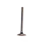 Engine Exhaust Valve-vin: X, Ohv, Hsc, 8 Valves Dnj EV447 New. Price: $9.99.