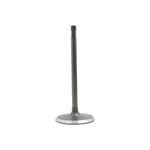 Dnj IV1102 Intake Valve Fits 2011-2013 Ram 1500 08-10 Dodge New. Price: $31.99.