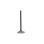 Engine Intake Valve-gas, Dohc, 24 Valves Dnj IV4274A New. Price: $21.84.