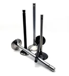 Sbi Part # 01002 Engine Intake Valve New. Price: $23.25.