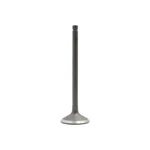 Dnj IV925 Intake Valve Fits 1985-1991 Toyota Corolla 90-92 Geo Prizm New. Price: $30.99.