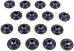 Racing Springs Valve Retainers 10 Deg PAC-R315-16 New. Price: $89.99.