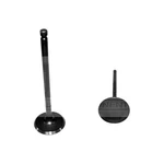 Ford F-150 2011-2015 Dnj Engine Components EV4198 Exhaust Valve New. Price: $11.76.