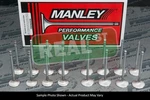 Manley Race Series Valves Acura K20A2 K20Z1 +.5 Oversize New. Price: $422.28.