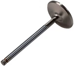 Engine Intake Valve New. Price: $59.99.