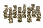 Racing Springs 1.290 Dual Valve Rpm Series (16)- PAC-1204X-16 New. Price: $440.53.