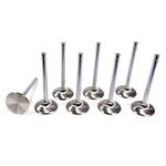 Ferrea Ford 351C C/6 2.070 Intake Valves- F6132-8 New. Price: $236.78.