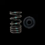 Brian Crower BC0040SX Spring/steel Retainer Kit For Honda K20A/K20Z/F20C/F22C New. Price: $339.00.