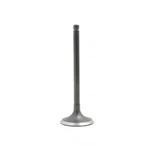Engine Intake Valve-dohc, Code: 1UZFE, 32 Valves Dnj IV970 New. Price: $19.12.