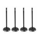 Set Of 4 Genuine Intake Valves For Honda Accord Odyssey Pilot Passport Ridgeline New. Price: $56.99.