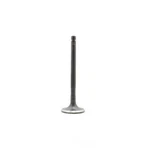 Engine Exhaust Valve-dohc, Code: 2URGSE, 32 Valves Dnj EV980A New. Price: $16.85.