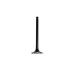 Engine Exhaust Valve-dohc, 16 Valves Dnj EV425 New. Price: $11.80.