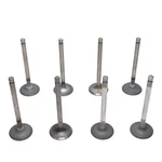 Intake Valves 1964-1965 Ford 260 V8 8-CYLINDER New. Price: $103.92.