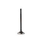 Dnj EV1102 Exhaust Valve Fits 2011-2013 Ram 1500 08-10 Dodge New. Price: $32.99.