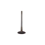 Dnj IV802B Intake Valve Fits 2008-2010 Audi R8 07-08 RS4 New. Price: $33.99.