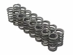 Brian Crower Valve Springs For RB26DETT R32 R33 R34 Skyline Gtr New. Price: $144.00.