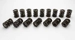 Manley 1.650 Nextek Dual Valve Springs (221454-16) New. Price: $426.99.