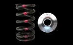 Brian Crower BC0200 Valve Springs Titanium Retainers For Nissan SR20DET Rwd Fwd New. Price: $300.00.