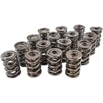 Manley 221449-16 Nextek Drag Race Valve Springs New. Price: $850.87.