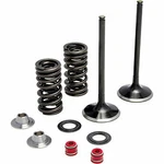 Kibblewhite Valve Spring Kit New. Price: $149.85.