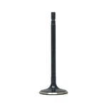 Engine Intake Valve-full Hybrid Ev-gas (fhev), Dohc, Code: VQ35HR, 24 Valves New. Price: $11.32.