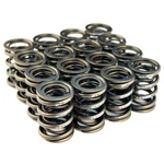Blox Racing Dual Valve Springs Fits H22A (2.2L Dohc Vtec) New. Price: $200.56.