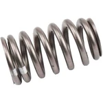 Acdelco 12621428 Engine Valve Spring New. Price: $76.89.