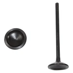 For Chevy Colorado 2004-2006 Dnj Engine Components EV3138 Exhaust Valve New. Price: $12.96.