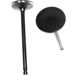 IV616A Dnj Intake Valve For Truck Nissan Frontier Xterra Mercury Villager Quest New. Price: $22.38.