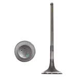 For Toyota Tacoma 2005-2013 Dnj Engine Components EV969 Exhaust Valve New. Price: $12.21.