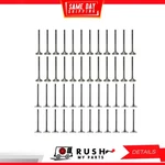 12-16 Exhaust Intake Valve Kit For Audi A8 6.3L W12 Dohc 48V Dnj VK48816 New. Price: $584.99.