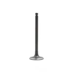 Engine Intake Valve-dohc, 16 Valves Dnj IV434 Fits 1999 Mazda Protege 1.6L-L4 New. Price: $16.32.