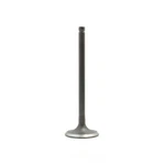Engine Intake Valve-dohc, Code: 5SFE, 16 Valves Dnj IV907 New. Price: $17.02.