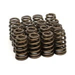 Fits Gm Chevrolet Performance 12625033 Valve Springs, .550 Lift, LS6 New. Price: $49.99.