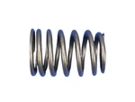 53020749AC Valve Spring New For Ram Truck Dodge 1500 Jeep Grand Cherokee Dakota. Price: $16.06.