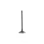 Engine Intake Valve-dohc, Code: N52, 24 Valves Dnj IV862 New. Price: $28.81.