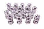 Racing Springs 1.574 Dual Valve (16) PAC-1396-16 New. Price: $612.90.