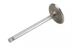 Genuine Gm Small-block Intake Valve 10241743 New. Price: $31.47.