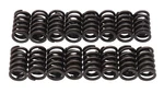 Edelbrock 5824 Sure Seat Valve Spring Kit New. Price: $105.45.