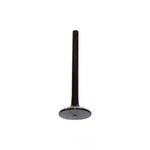 Engine Exhaust Valve-vin: Y, Ohv, 12 Valves Dnj EV4107 New. Price: $11.06.