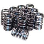 New Set Of 12 Valve Springs Fits Some Ford 215 223 242 6 Cylinder Engines. Price: $48.54.