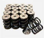 For Honda B-series Vtec Dual Spring Set And Titanium Retainer GSC5049 New. Price: $335.56.