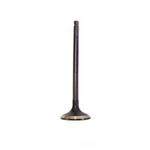 Engine Exhaust Valve-dohc, Code: EJ255, Turbo, 16 Valves Dnj EV720 New. Price: $19.20.