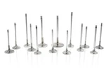 Ferrea F2165P-1 New. Price: $64.95.