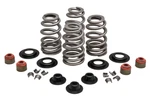 Beehive Valve Spring Kit .610 Lift For 05-17 Harley Twin Cam 96 103 110 60306 New. Price: $142.90.