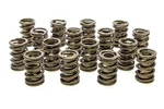 Racing Springs Valve Hr Series (16)- PAC-1924-16 New. Price: $296.28.
