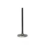 Engine Intake Valve-vin: 6, Sohc, 16 Valves Dnj IV4224 New. Price: $17.15.